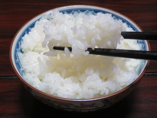 新米令和7年長野県産 風さやか 白米9kg 美味しいお米 農家直送 送料