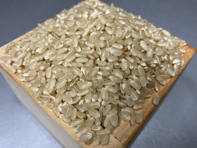 ゆうだい21玄米