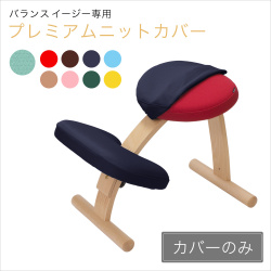 ogu⭐︎　バランスイージー　チェア　リボ社　サカモト　組立式　正規 Amazon.co.jp: バランスラボ バランスイージー 通常フレーム