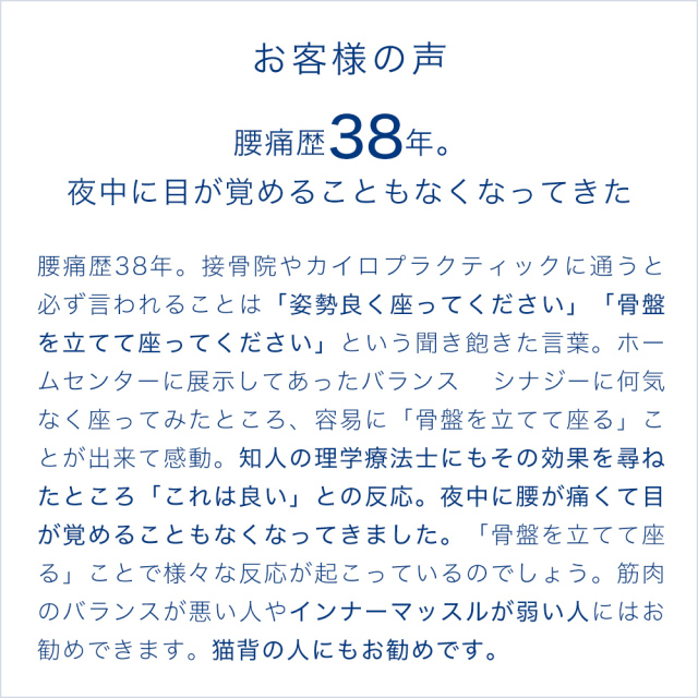 腰痛 椅子 腰痛椅子 体幹 鍛える 姿勢が良くなる 姿勢矯正 オフィスチェア デスクチェア 高さ調整 バランス シナジー