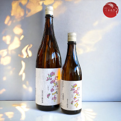 【日本酒】紫宙 四合瓶 6本セット 紫宙 ( しそら ) 純米大吟醸 GALAXY 2025 本生 720ml / 岩手県