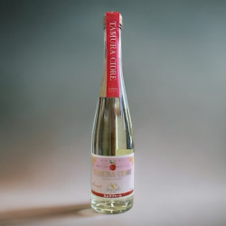 復興 鳴海織部 赤織部 ワイングラス 復興 鳴海織部 赤織部 ワイングラス 【公式通販】