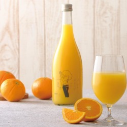 雁木 スパークリング日本酒と純米大吟醸　11本セット 雁木 スパークリング 純米大吟醸 | Sakenomy - 日本酒を知り