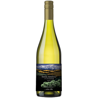 テラ・アンディーナ アンデスの大地 シャルドネ　チリワイン 　(750ml)(5600205)