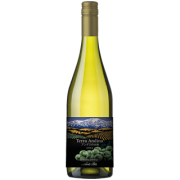 テラ・アンディーナ アンデスの大地 シャルドネ　チリワイン 　(750ml)(5600205)