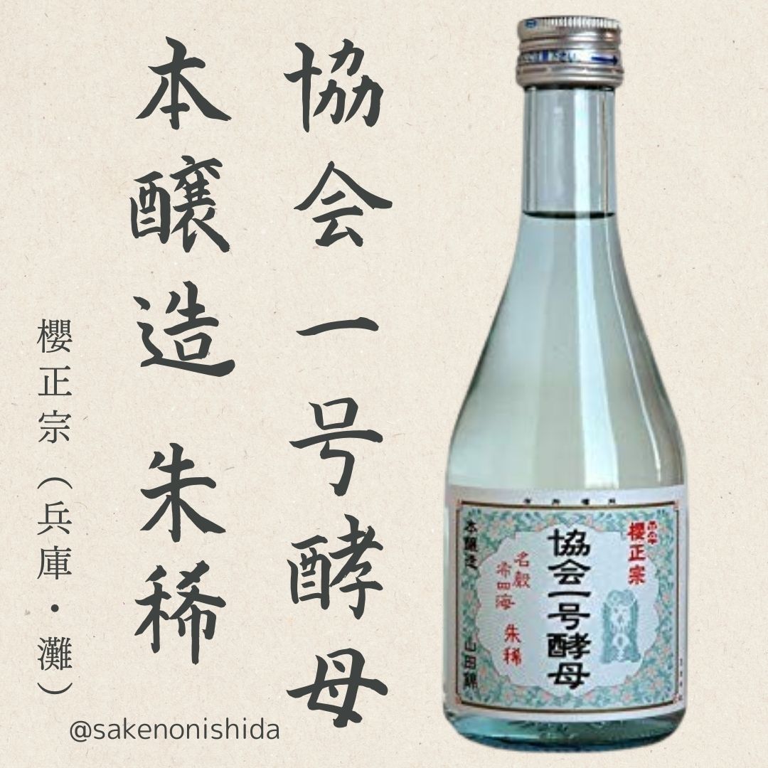 1号酵母朱稀300ml