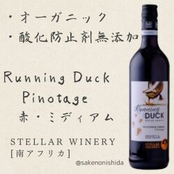 ステラー・ランニングダッグ・ピノタージュ