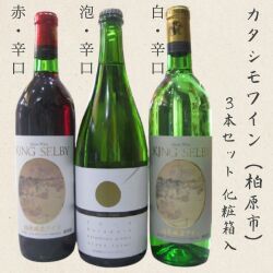 キングセルビー 柏原醸造ワイン 赤辛口・白辛口と、河内のドンペリ