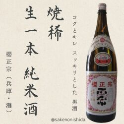 神戸の自醸酒☆日本酒党の皆様と一生のお付き合い！】 櫻正宗（さくら
