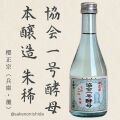 1号酵母朱稀300ml