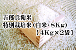 【2026年度新米】五郎兵衛米・特別栽培米（白米・8Kg【4ｋ袋×2】）