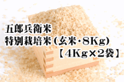 【2026年度新米】五郎兵衛米・特別栽培米（玄米・8Kg【4ｋ袋×2】）