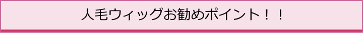 人毛ウィツグのお勧めポイント