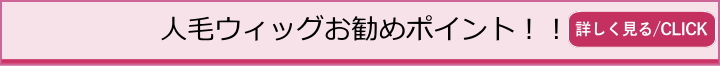 人毛ウィツグのお勧めポイント