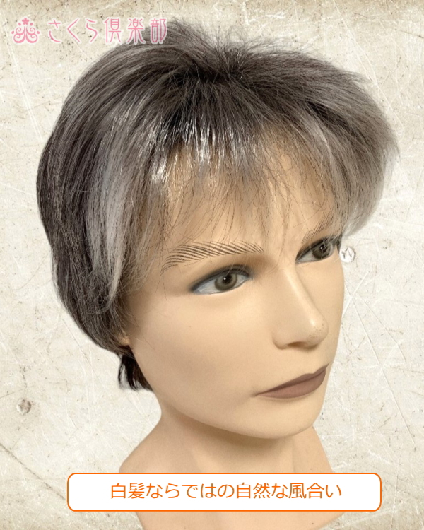 メンズフルウィッグ 男性用 全かつら 人工毛 機械植え製 白髪染め分け