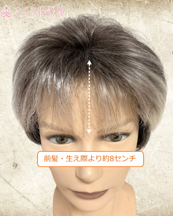 メンズフルウィッグ 男性用 全かつら 人工毛 機械植え製 白髪染め分け