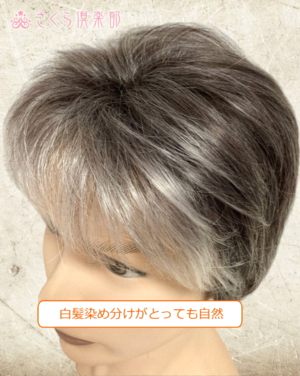 メンズフルウィッグ 男性用 全かつら 人工毛 機械植え製 白髪染め分け