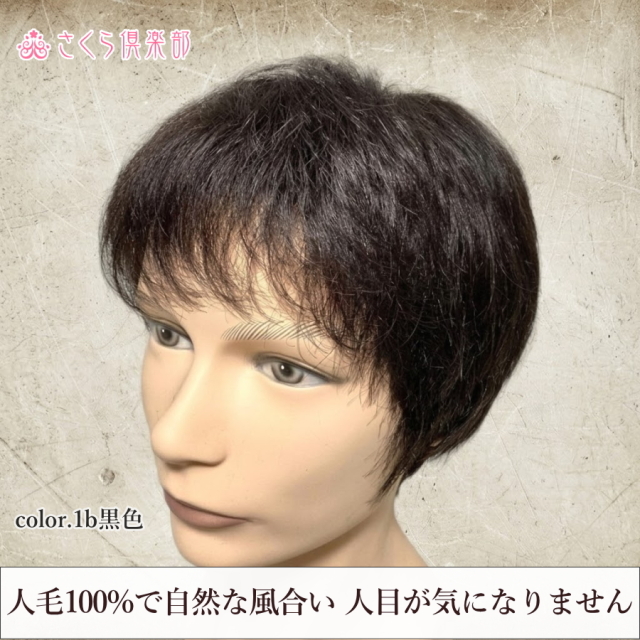 メンズフルウィッグ 男性用 全かつら 人毛100％ 機械植え製 MM015 医療