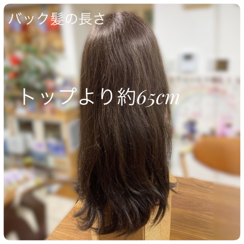 ハイネット　部分ウィッグ　人毛ミックス ハイネット ウィッグ 無 ショート 人毛ミックス - ウィッグ