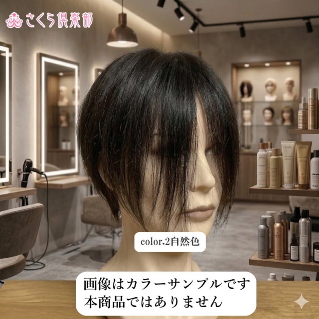 人毛100%男性用部分ウィッグ Lサイズ top-600総手植え製 センター分け