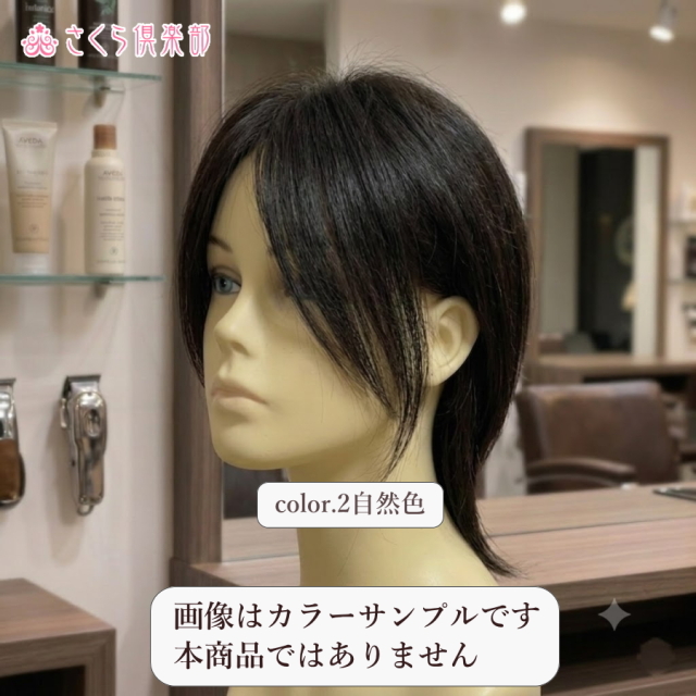 人毛部分ウィッグ 女性用ヘアピース センター分けLサイズ top-600a