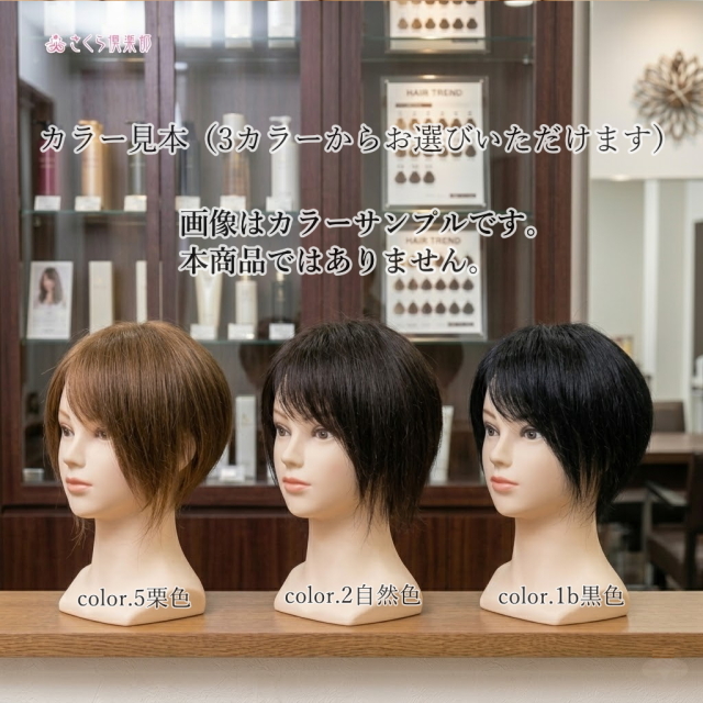 部分ウィッグ 女性用 つむじ 白髪隠し Sサイズ top-s｜人毛100総手植え