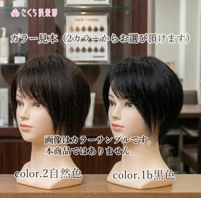 人毛部分ウィッグ女性用ヘアピース Sサイズ ナチュラルストレート 特殊