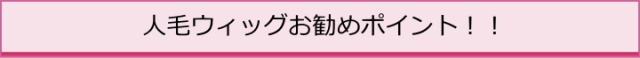 人毛ウィツグのお勧めポイント