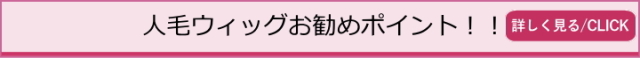 人毛ウィツグのお勧めポイント