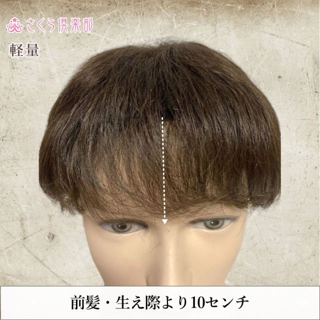 メンズフルウィッグ 男性用 全かつら 人毛100％ 総手植え製 軽量 hw19m