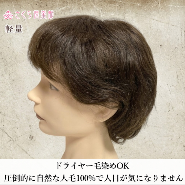 メンズフルウィッグ 男性用 全かつら 人毛100％ 総手植え製 軽量 hw19m