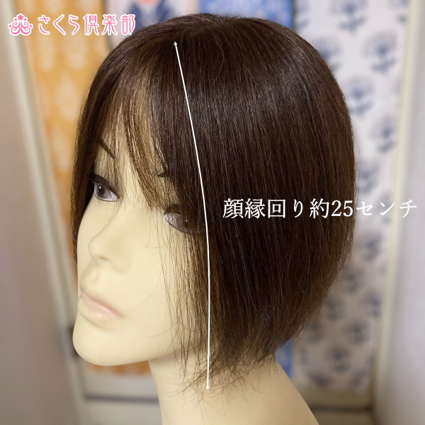 人毛部分ウィッグ ロング25センチ Mサイズ 医療用にも最適 top-25