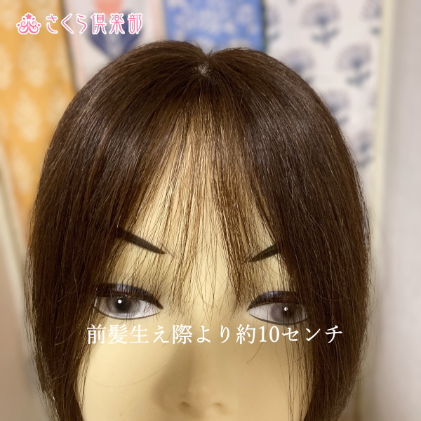 人毛部分ウィッグ ロング25センチ Mサイズ 医療用にも最適 top-25