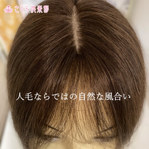 人毛部分ウィッグ ロング25センチ Mサイズ 医療用にも最適 top-25