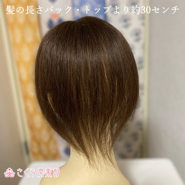 人毛部分ウィッグ ロング25センチ Mサイズ 医療用にも最適 top-25