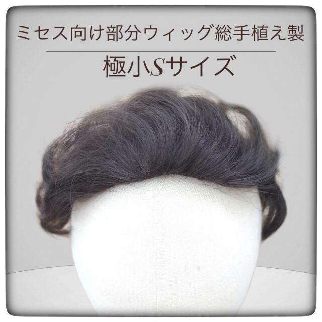 部分ウィッかつら ミセス・シニア向け・総手植え製ナチュラルストレート Sサイズ  top-100 医療用にも最適