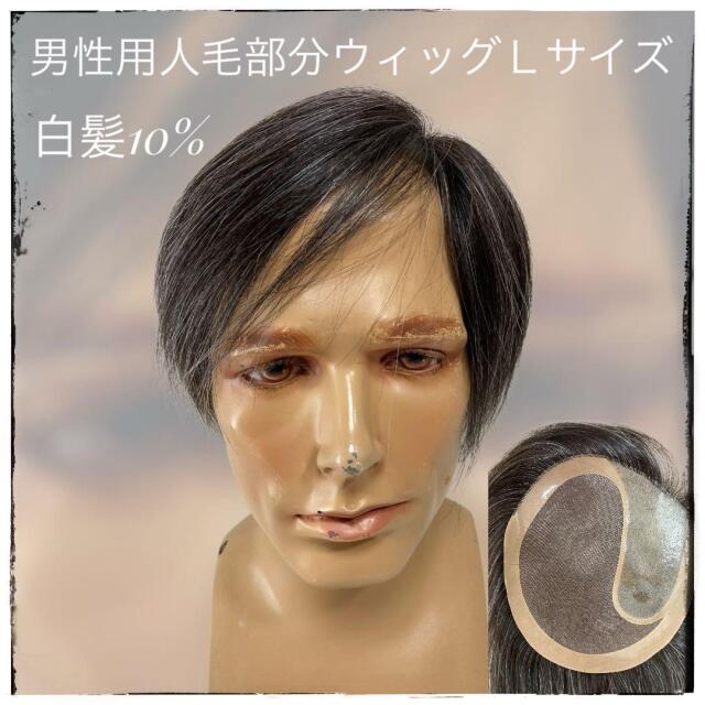 カットウィッグ10頭 （プリシラ梅田サロン（ウィッグ専門）｜ウィッグ 