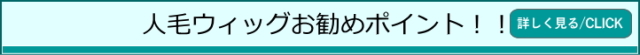 人毛ウィツグのお勧めポイント