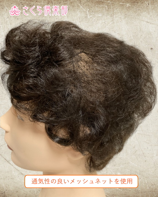 メンズフルウィッグ総手植え製 ショートカール hm33m 医療用にも最適