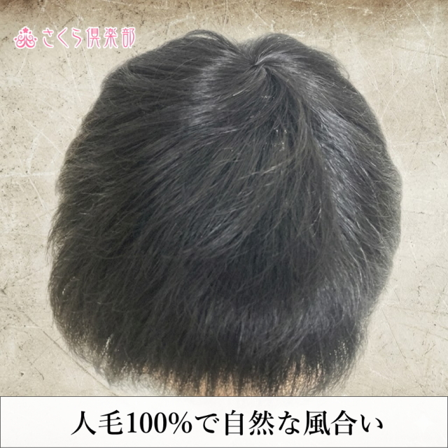 メンズフルウィッグ 男性用 全かつら 人毛100％ 機械植え製 軽量 MM018