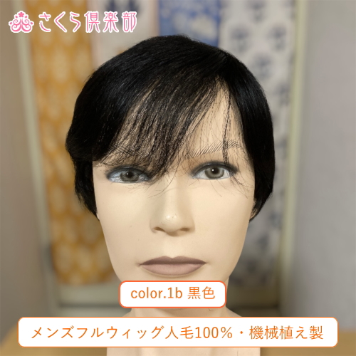 メンズフルウィッグ 男性用 全かつら 人毛100% 機械植え製 超軽量 MM300 医療用にも最適