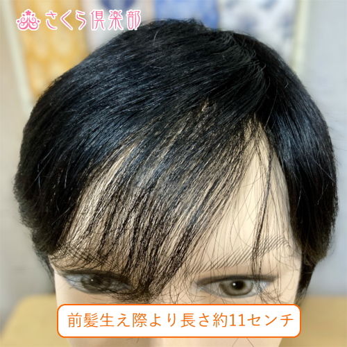 メンズフルウィッグ 男性用 全かつら 人毛100％ 機械植え製 MM300 医療