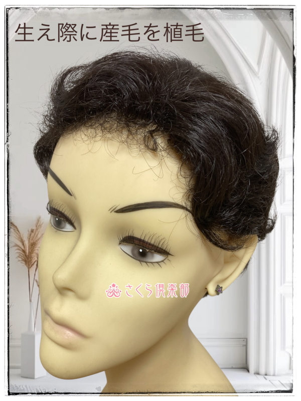 フルウィッグ ミセス・シニア向 人工毛 総手植え製ナチュラルウェーブ n-36s 超軽量