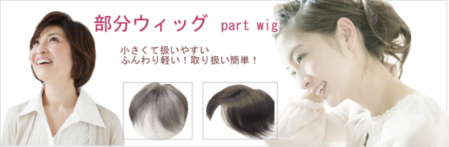 人毛部分ウィッグ女性用ヘアピース 左分け Lサイズ top-104