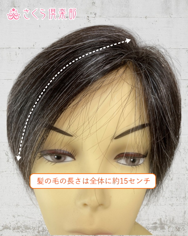 人毛部分ウィッグ 女性用ヘアピース 左分け Lサイズ白髪10% top-104s