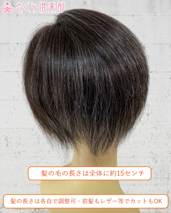 白髪ウィッグ 全体ウィッグ 白髪割合30% 人毛100%（人毛100