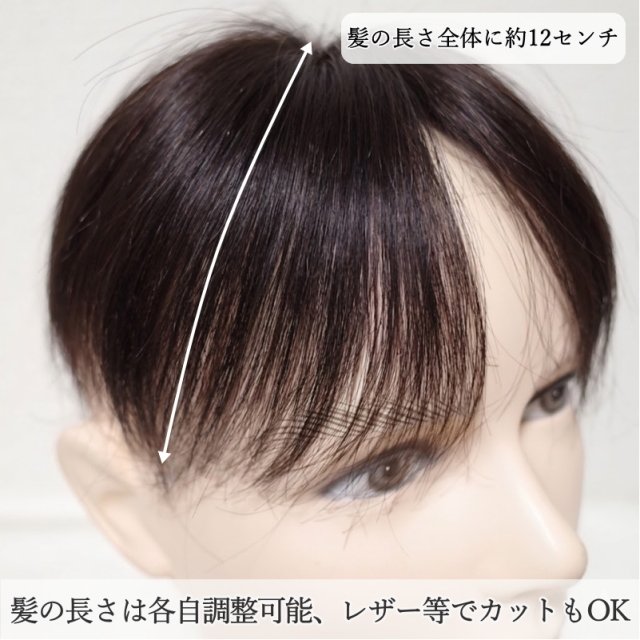 男性用メンズ部分ウィッグ自然すぎる人毛100% 特殊人工皮膚付きSサイズ