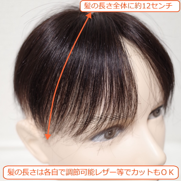 ウィッグ男性用 人毛100% 人毛100％ メンズウィッグ フルウィッグ 男性用ウイッグ 耐熱
