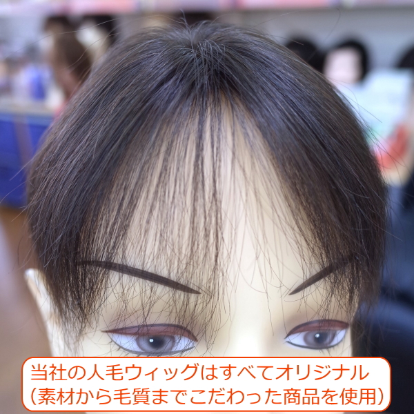 人毛部分ウィッグ女性用ヘアピース Sサイズ ナチュラルストレート 特殊 人毛部分ウィッグ女性用ヘアピース Sサイズ ナチュラルストレート 特殊