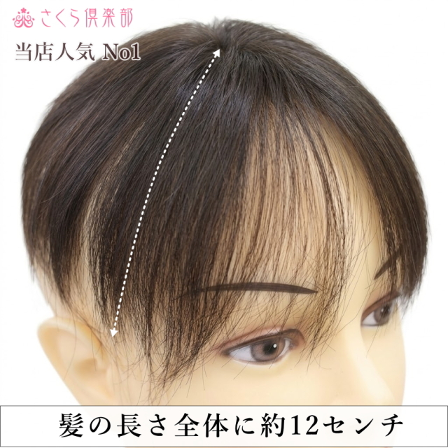 人毛部分ウィッグ女性用ヘアピース Sサイズ ナチュラルストレート 特殊